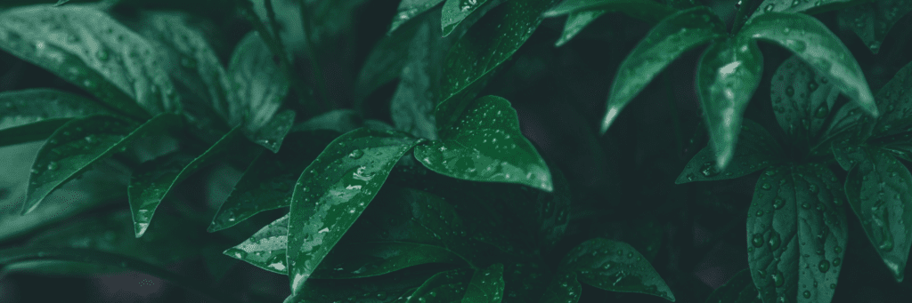 Pink Pastel Gradient Twitter Header