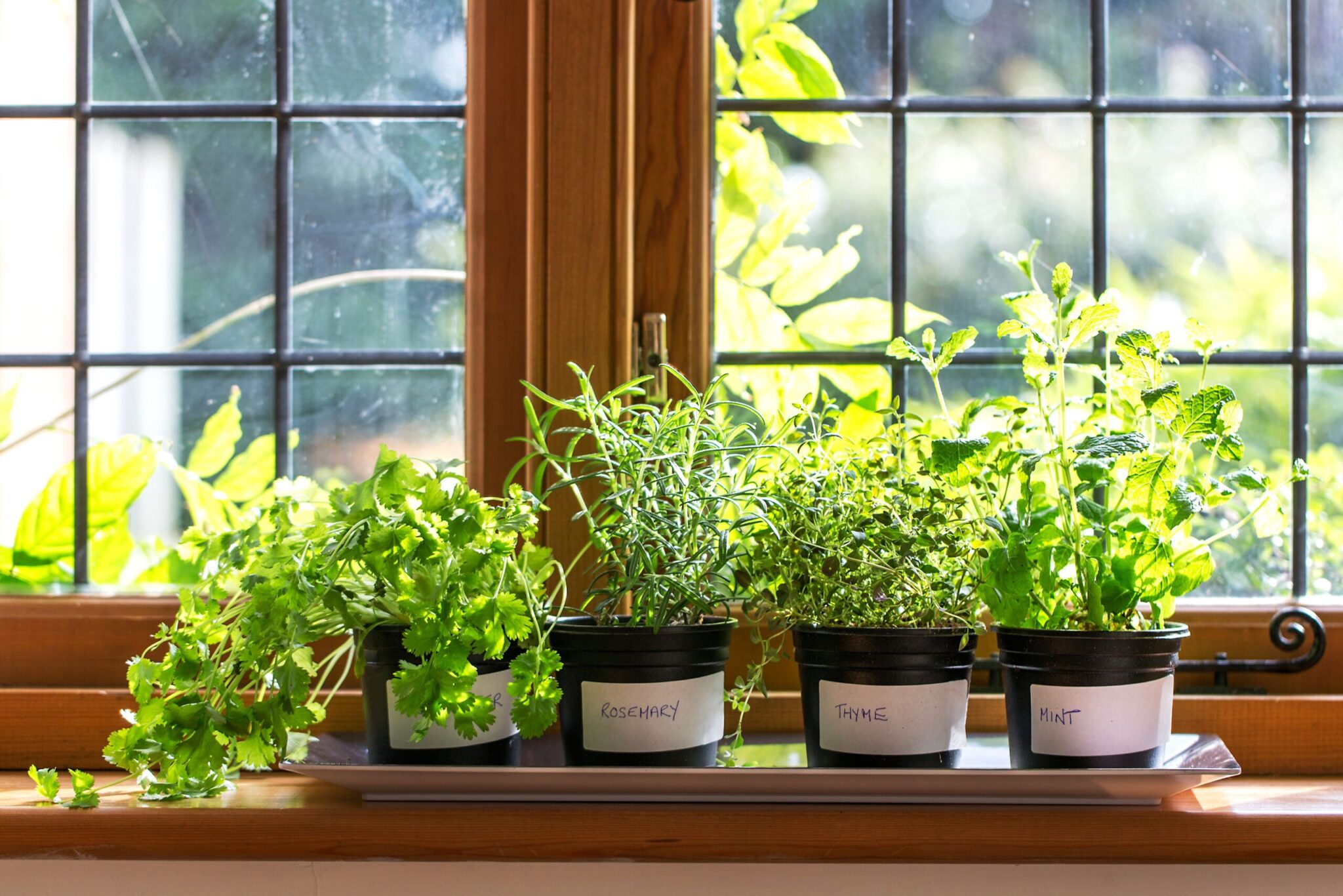 thisoldhouse.com