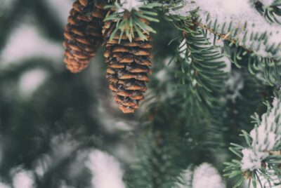 aaron-burden-cGW1w-qLix8-unsplash