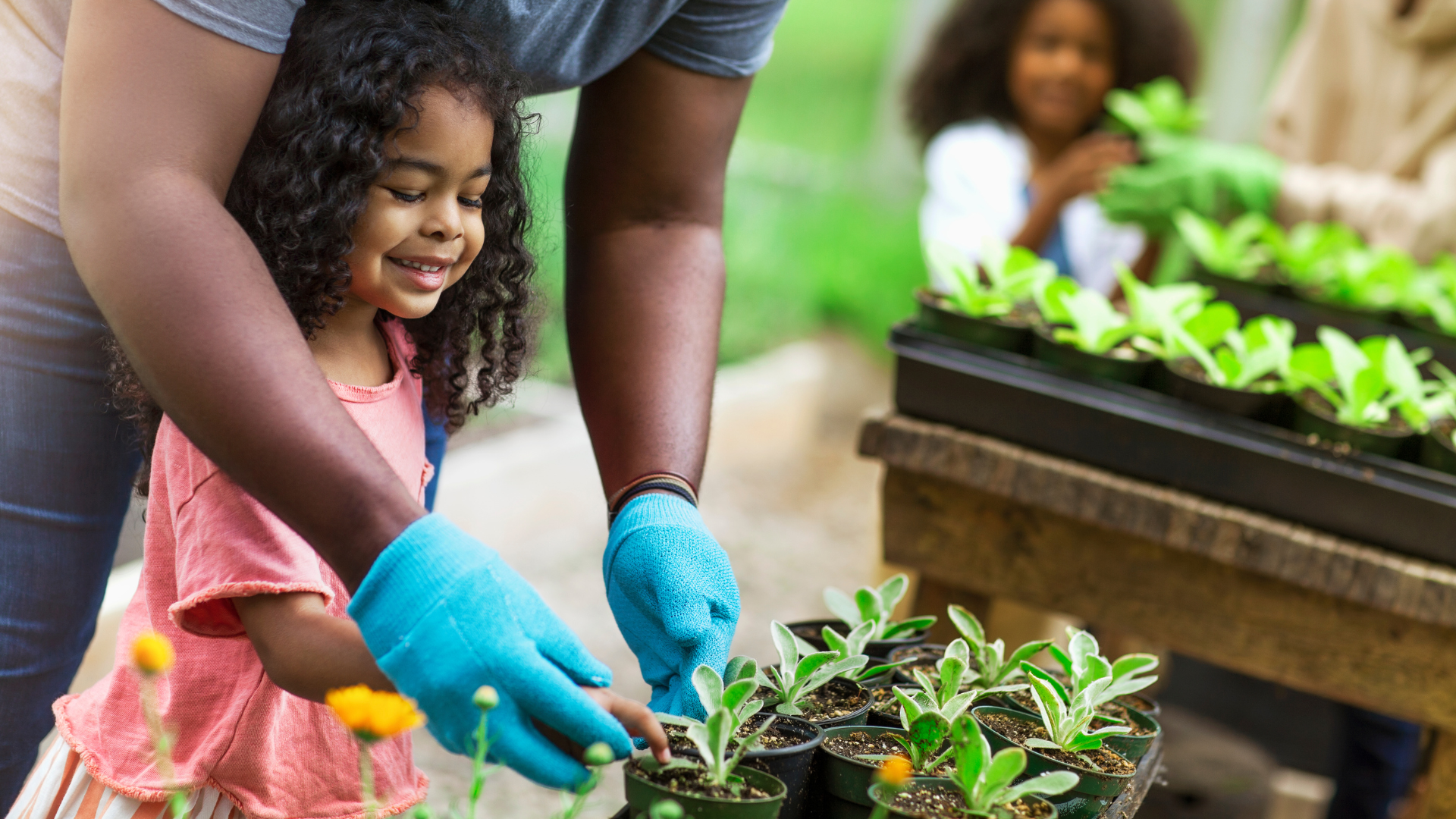sensory gardens