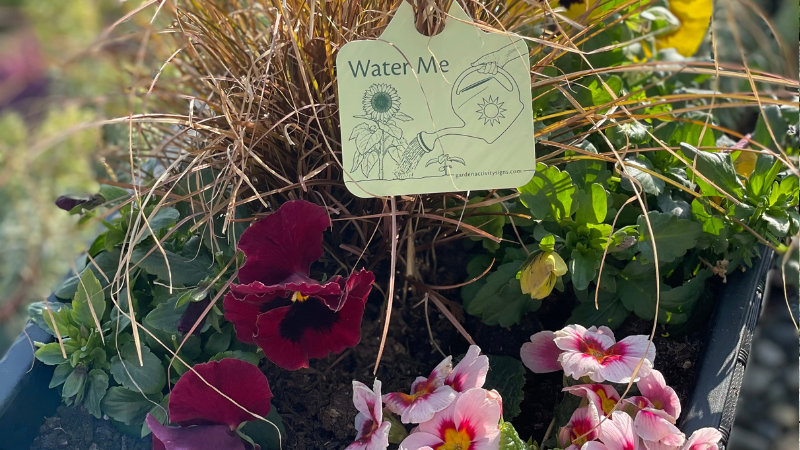 Therapeutic Garden Signage