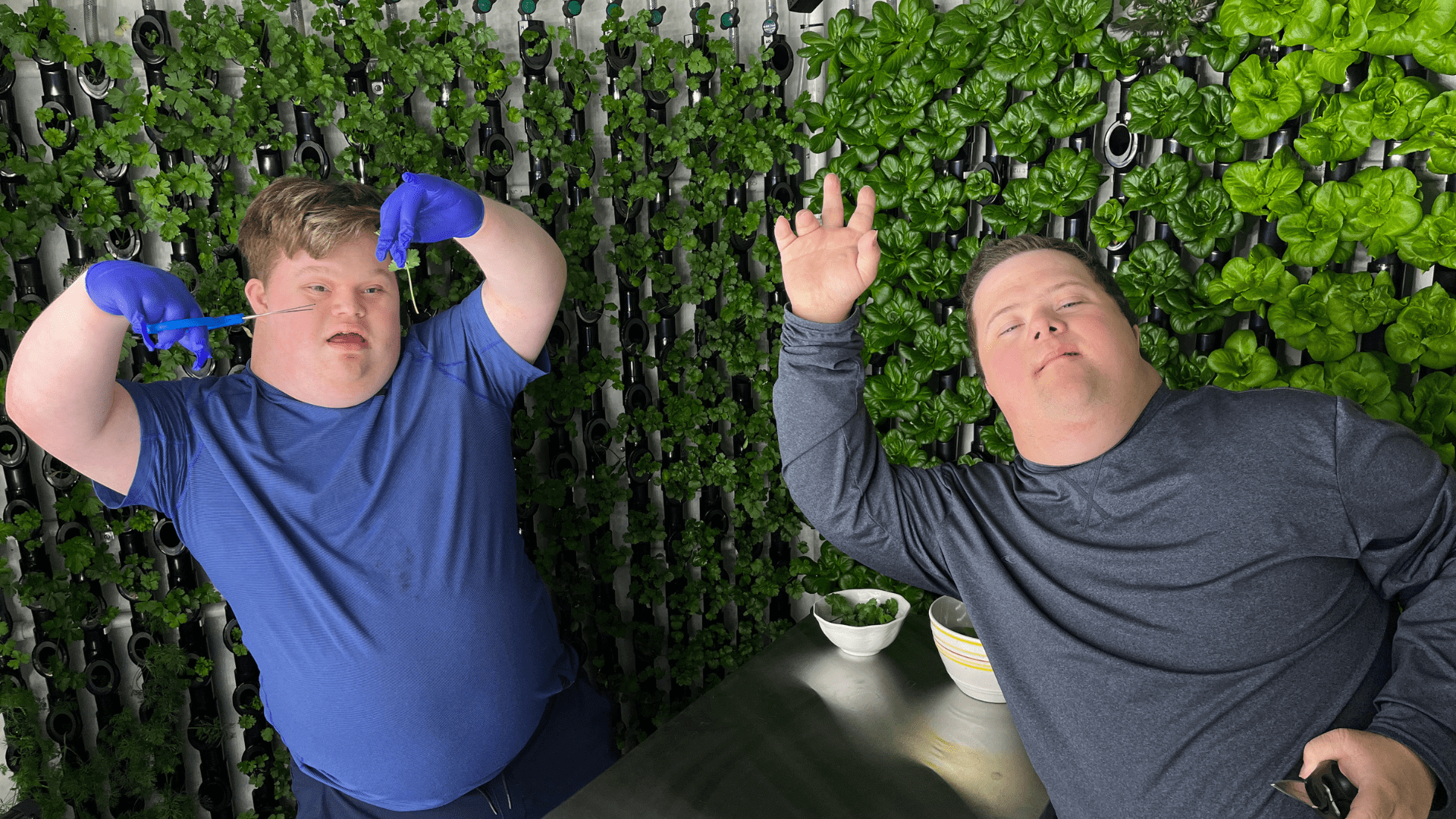 therapeutic horticulture for communities