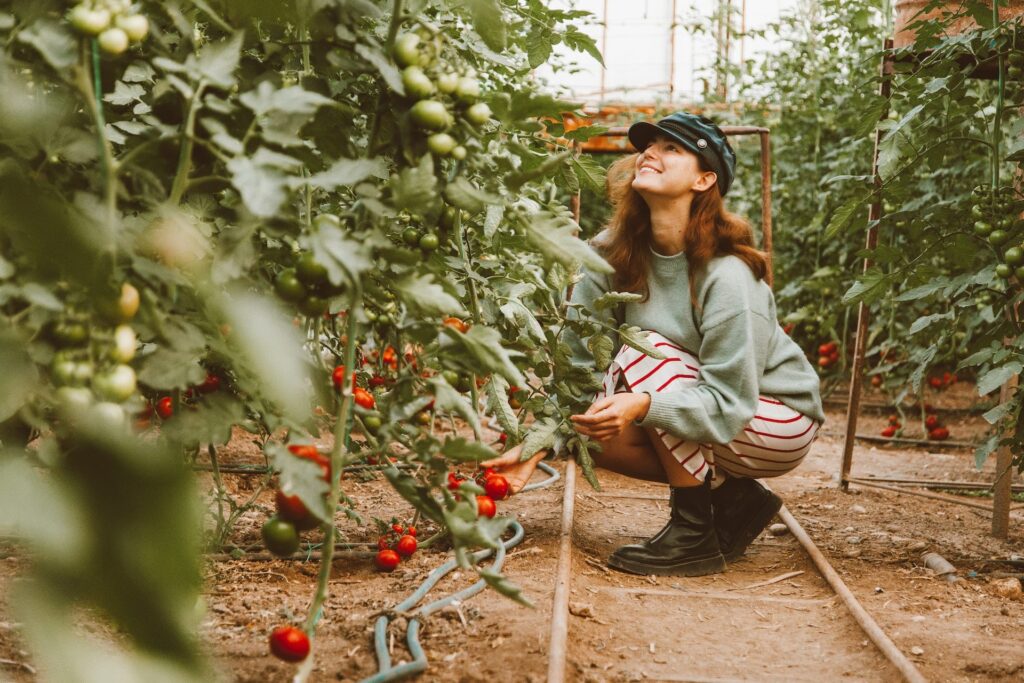 growing-past-addiction-with-horticulture-therapy
