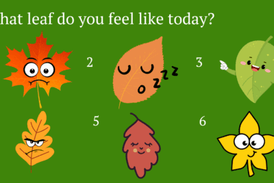 What leaf do you feel like today