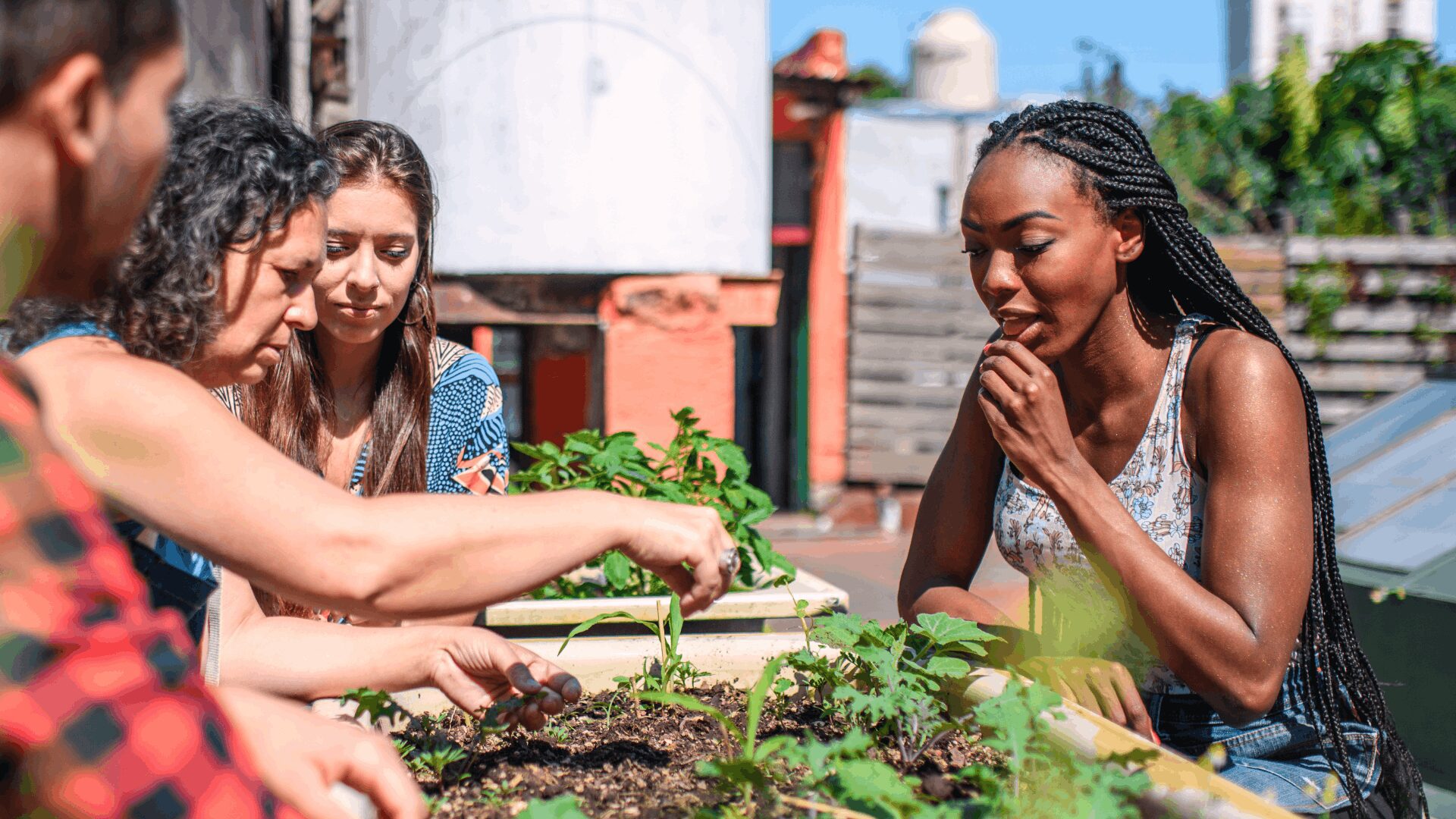 Occupational therapists supporting a client during a therapeutic horticulture activity at a raised garden bed