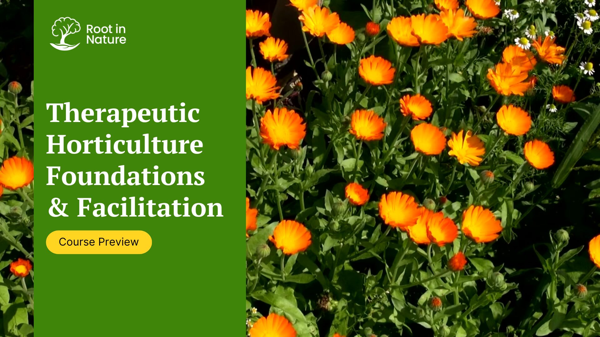 Intro and Horticulture 101 Module Slides