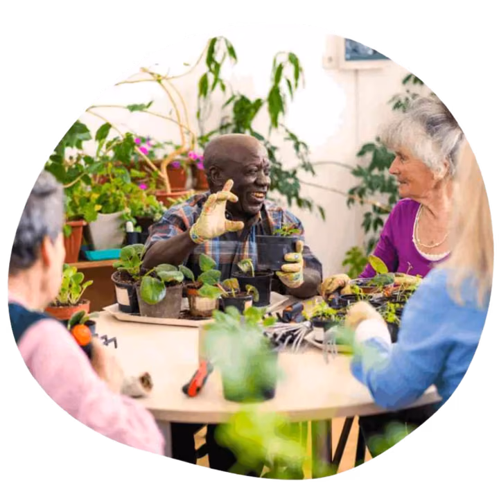 therapeutic horitculture setting